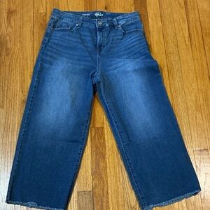 Style & Co. Denim Wide Crop Jeans